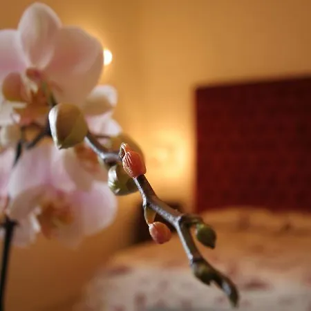 San Martino Relais & Wellness Saltara